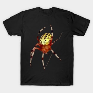 Fancy Spider T-Shirt